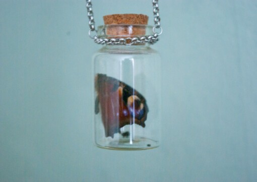 Echte vlinder in glazen flesje ketting