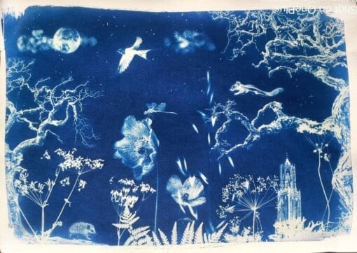Cyanotype negatieven: bloemenpracht
