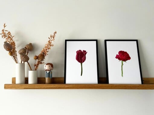 Kunstprint 'Rode tulp'