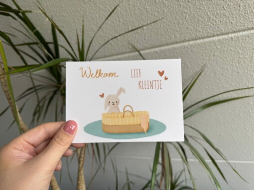 Mix & match je eigen bundel van 5 kaartjes - A6 formaat, inclusief envelop