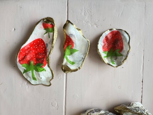 DIY schelpen knutselpakket voor thuis
