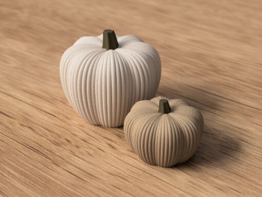 Decoratieve herfstpompoen