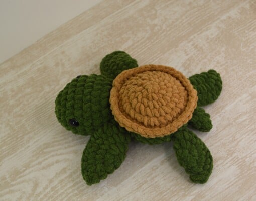 Schildpad - Sea turtle