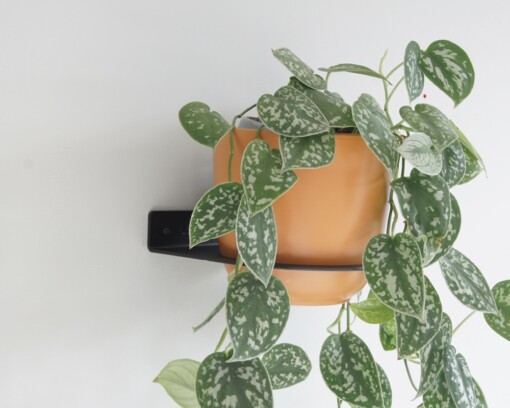 Plantdrager Flora Zwart | ø15cm