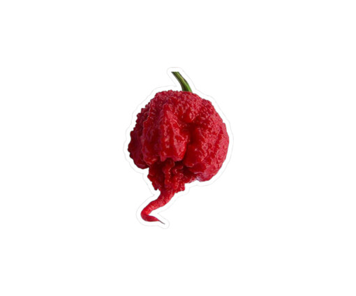 Carolina Reaper Zaden – Kweek de heetste peper ter wereld