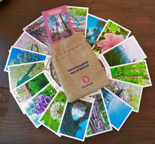 Inzichtkaarten van de natuur - 50 inspiraties om bij stil te staan