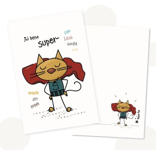 Cadeausetje SuperCat - Wenskaart met Wandhanger