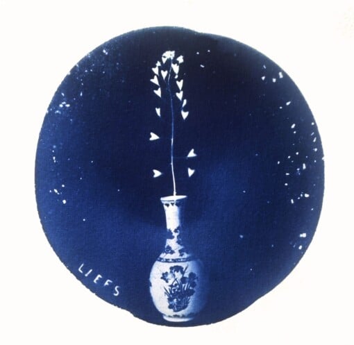 Cyanotype negatieven: vaasjes