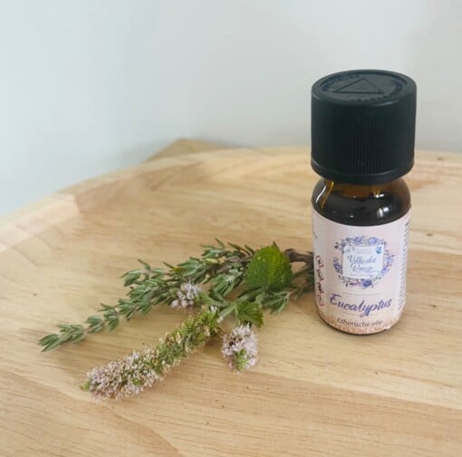 Etherische olie eucalyptus 10 ml