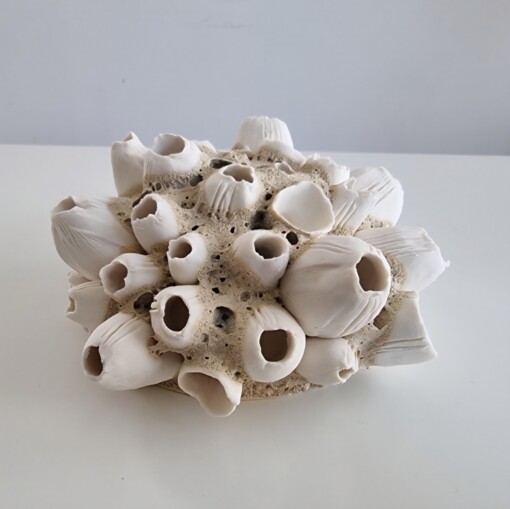 Zeepokken porselein, handmade object. Keramiek, handgevormd en uniek stukje kunst.