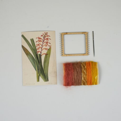 Oranje Antholyza DIY Weefpakket Klein