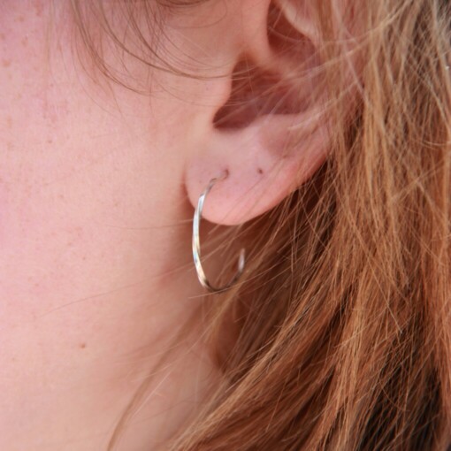 Oorstekers - TWIST - zilver