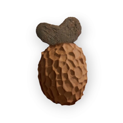 Fruits of Passion, een keramiek sculpture die je kan omvormen tot vaas
