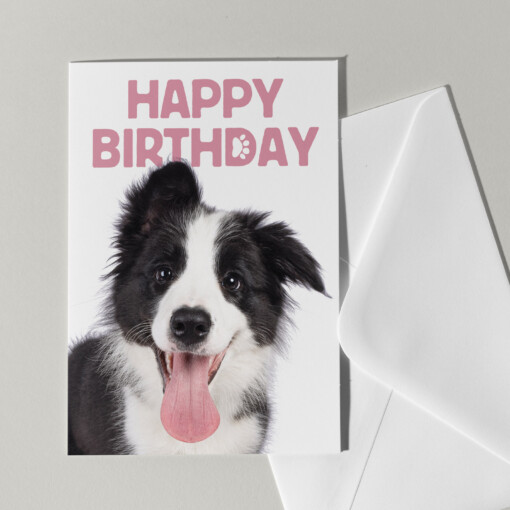 Set van 5 grote kaarten met honden