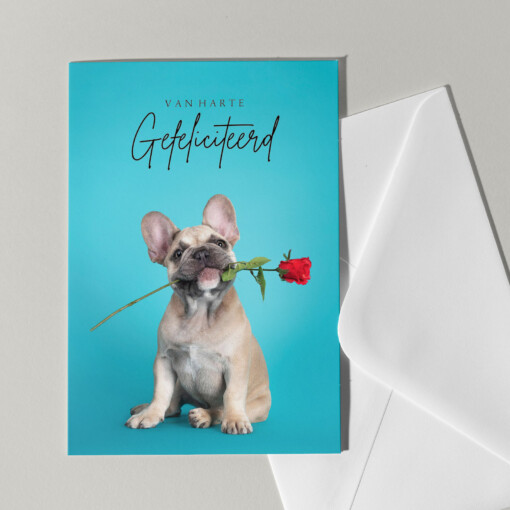 Set van 5 grote kaarten met honden