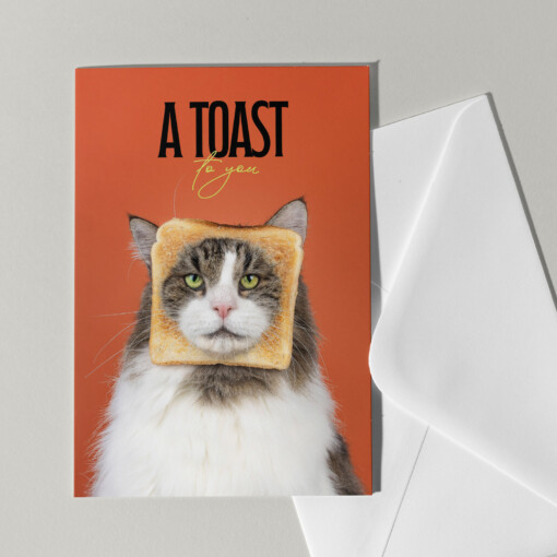 Set van 5 grote kaarten met katten