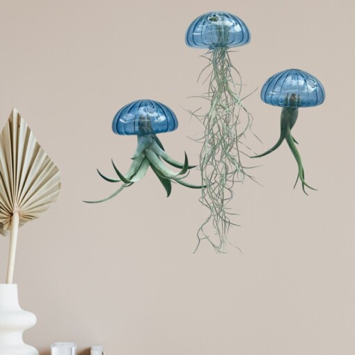 Een prachtige Jellyfish luchtplant met een "zee-egel" van écht glas!