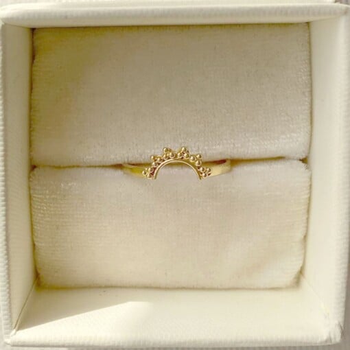 Golden Crescent Moon