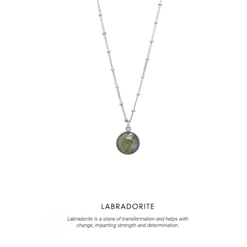 Labradorite Circle Gem Necklace Silver