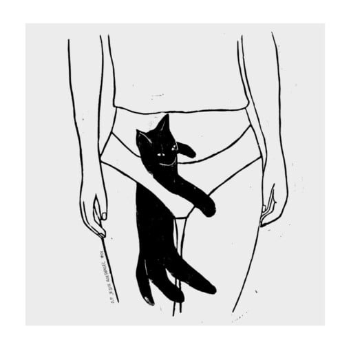 Linoprint van een poes in een onderbroek, grappig!
