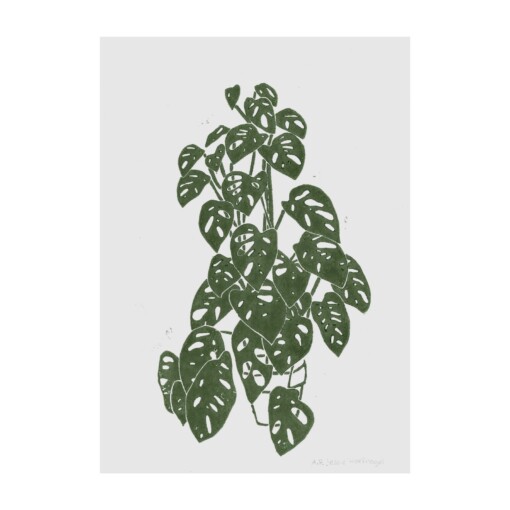 een illustratie van een Plant, een linoprint in groene inkt. Botanische sferen, kamerplant, gatenplant