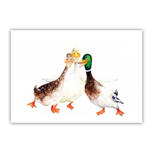 2 prints A5 eenden met envelop