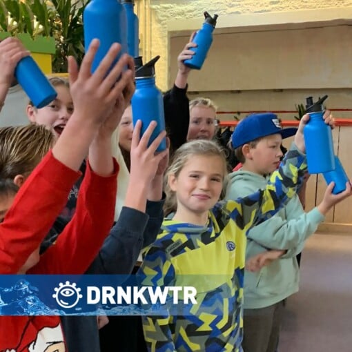 500ml. RVS drinkfles voor op school | sport | evenement - met Anti-drup-dop