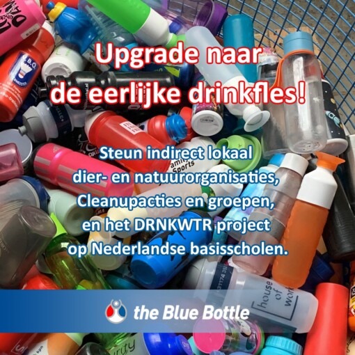 500ml. RVS Blue Bottle thermosfles Pink edition