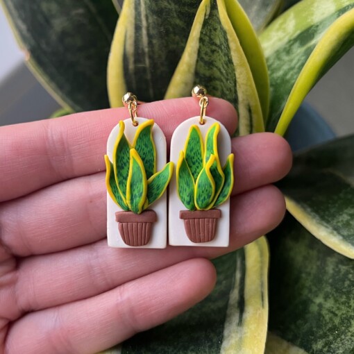 Kamerplant sanseveria oorbellen