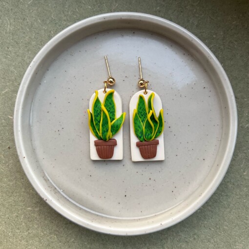 Kamerplant sanseveria oorbellen