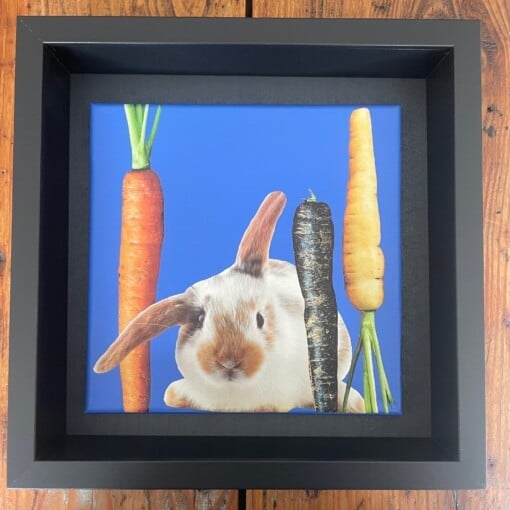 -alweer wortels- 20x20x1 cm handgeknipte collage op schildersdoek