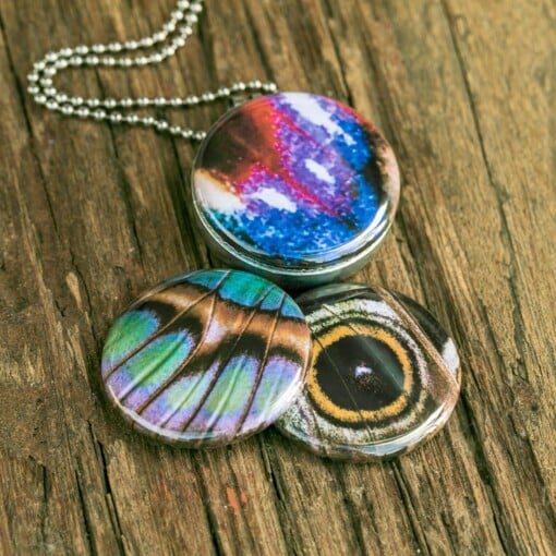 Fotomedaillon ketting met 3 verschillende verwisselbare voorkanten met close up foto`s van vlinder vleugels, in prachtige tinten. Voor het dicht bij je dragen van je favoriete foto.