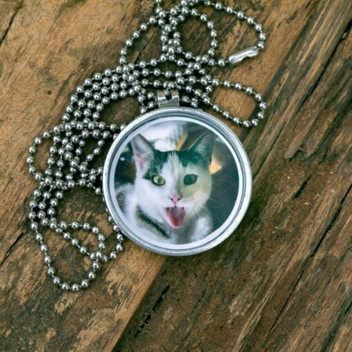 Fotomedaillon ketting met 3 verschillende verwisselbare voorkanten met close up foto`s van vlinder vleugels, in prachtige tinten. Voor het dicht bij je dragen van je favoriete foto.