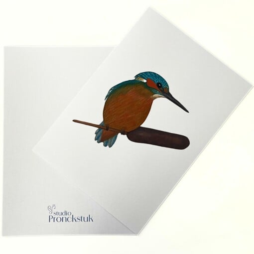 Kunstprint 'IJsvogel'