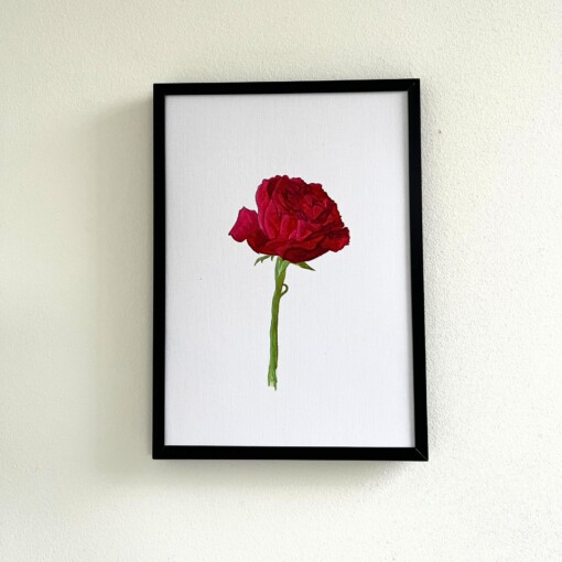 Kunstprint 'Rode roos'