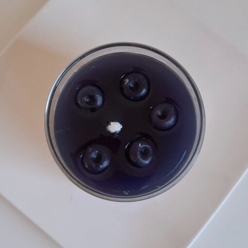 Bosbessen cheesecake kaars - Blueberry candle - soya en gelwas