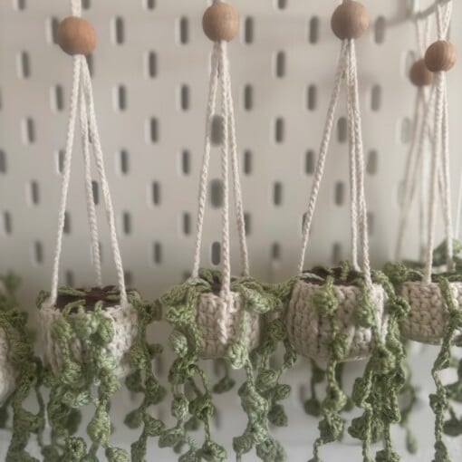 Handgemaakte hangplant 🌿