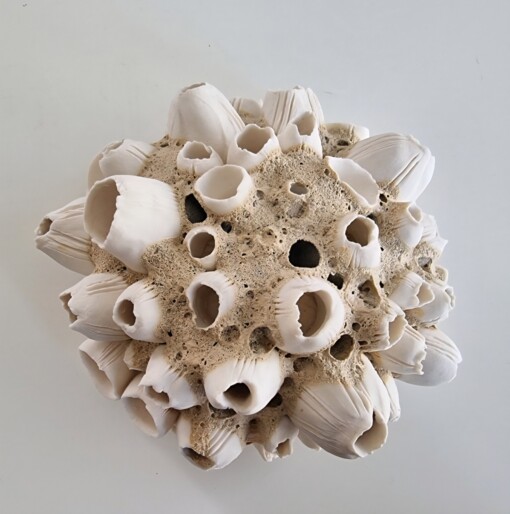 Zeepokken porselein, handmade object. Keramiek, handgevormd en uniek stukje kunst.