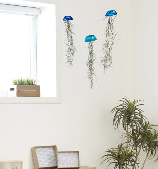 Set van drie mooi gekleurde Jellyfish luchtplantjes, gemaakt van Epoxy en Spaans mos