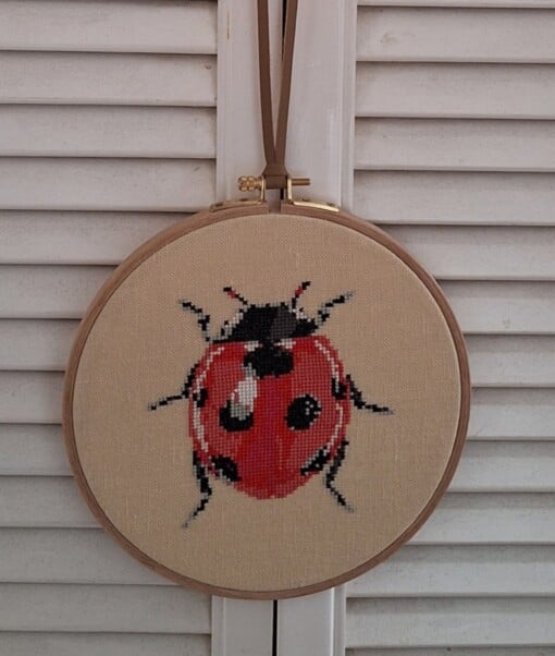 Handgeborduurd lieveheersbeestje, wat staat voor geluk. Leuk als kado, of voor aan jouw eigen muur