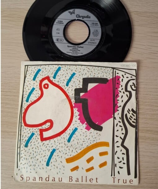 Kunst van vinyl: versierde LP 'Purple Lace'