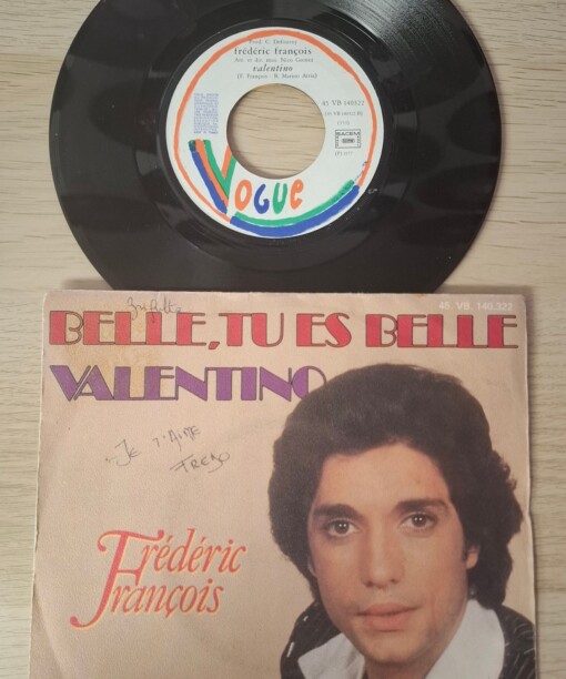 Kunst van vinyl: versierde LP 'Sunday Sunrise'