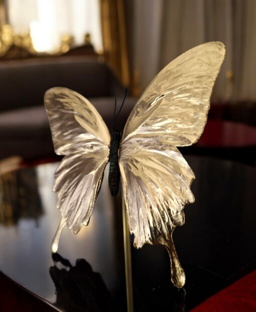Echte papilio vlinder, opgezet en verguld met 23ct goud - taxidermie kunstwerk onder glazen dome