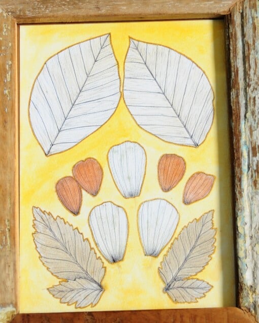 Eco print Bladeren Illustratie in Houten Lijst