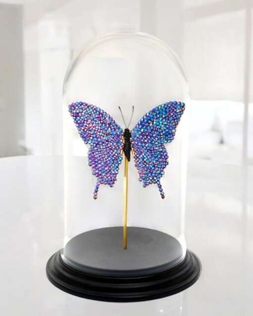 Echte papilio vlinder met Swarovski kristal 23ct verguld en opgezet onder dome - gelimiteerde editie