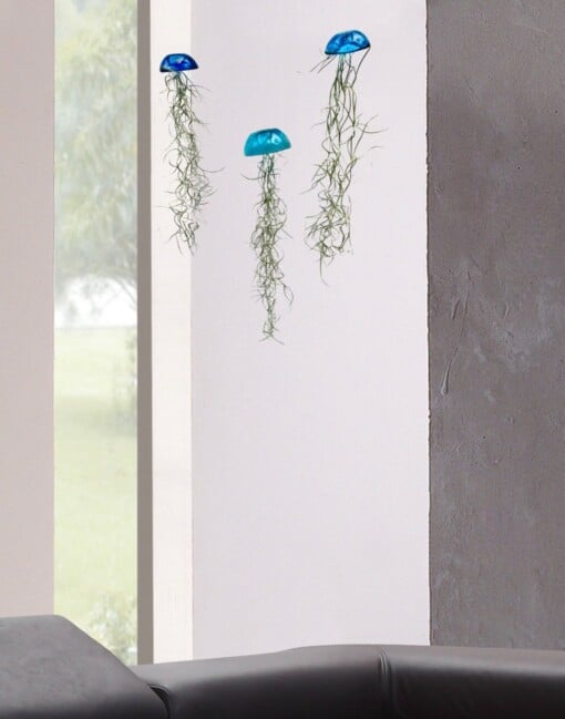 Set van drie mooi gekleurde Jellyfish luchtplantjes, gemaakt van Epoxy en Spaans mos