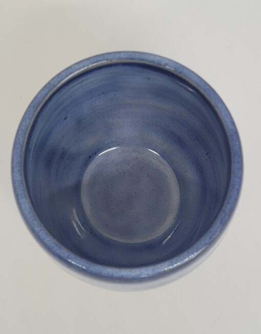 Spikkelmok zonder oor blauw
