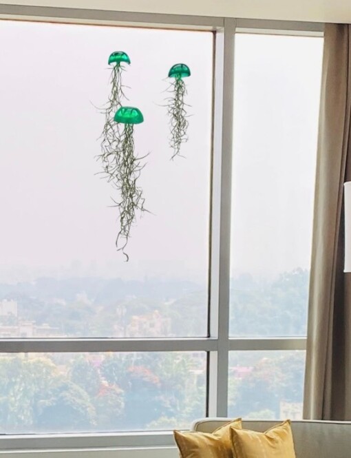 Set van drie mooi gekleurde Jellyfish luchtplantjes, gemaakt van Epoxy en Spaans mos