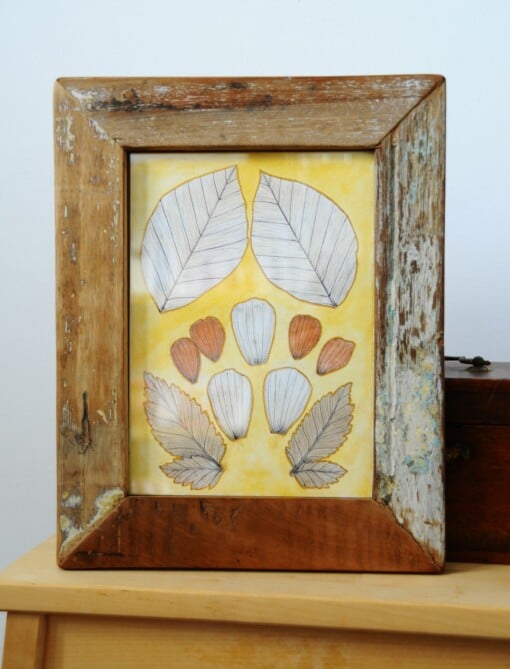 Eco print Bladeren Illustratie in Houten Lijst
