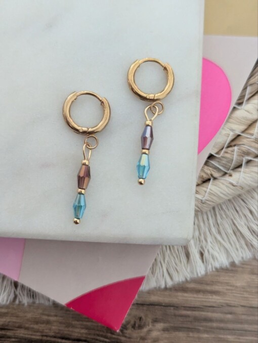Small elegance oorbellen